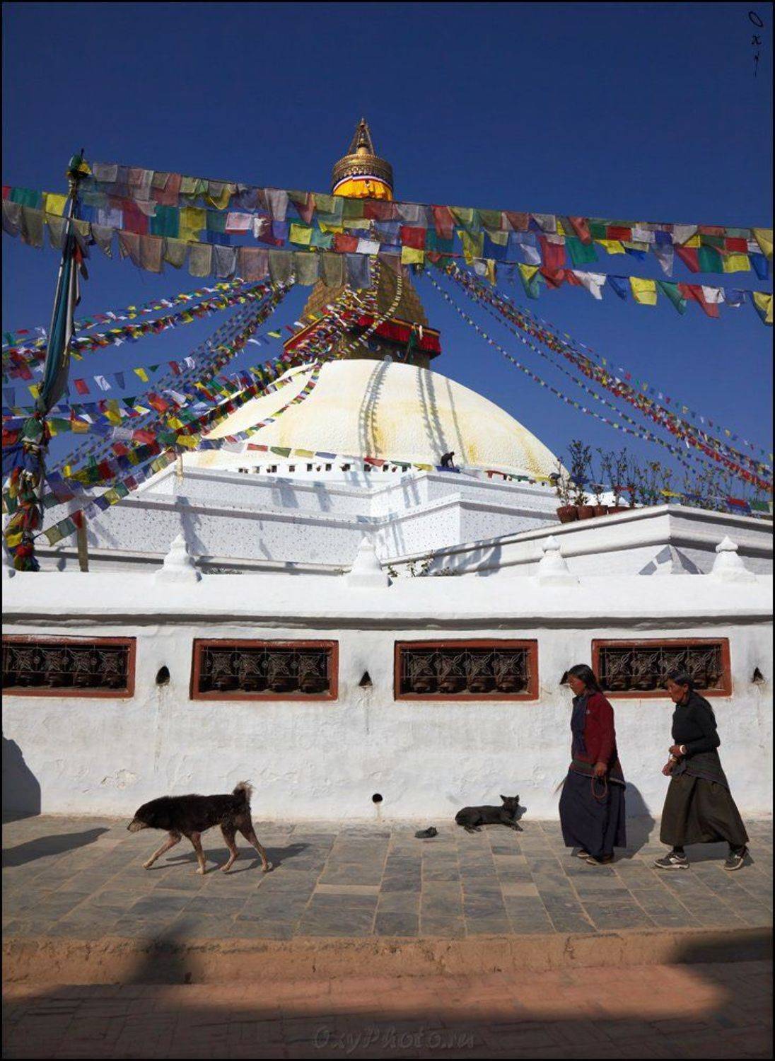 Все по часовой.... Автор: Оксана Борц непал, гималаи, nepal, himalaya, катманду, kathmandu, Оксана Борц