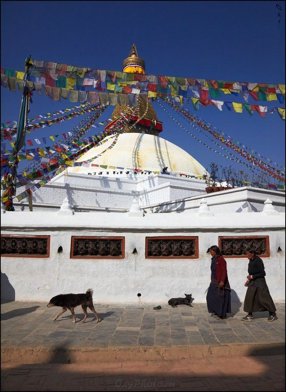 непал, гималаи, nepal, himalaya, катманду, kathmandu Все по часовой...photo preview