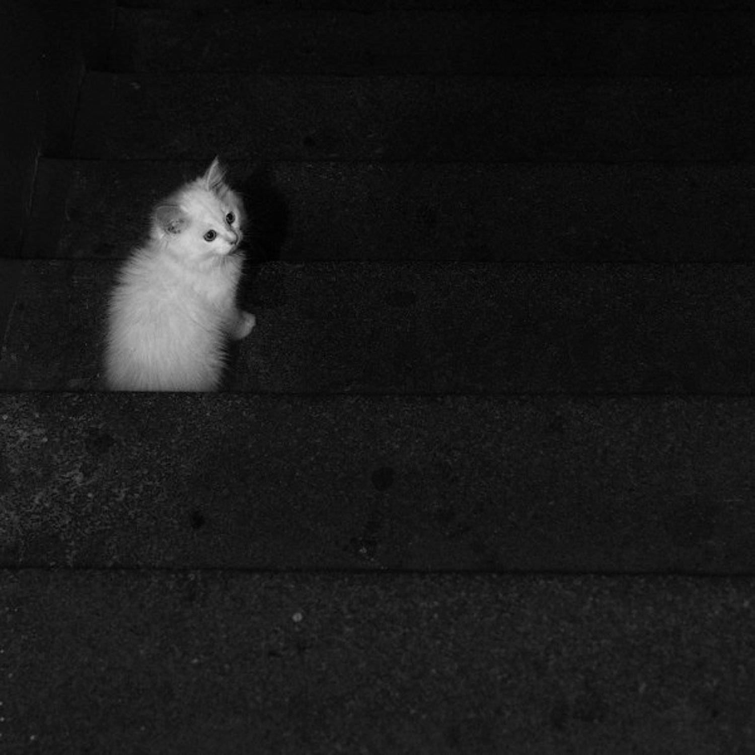 Чёрный квадрат.. Автор: senjor , senjor