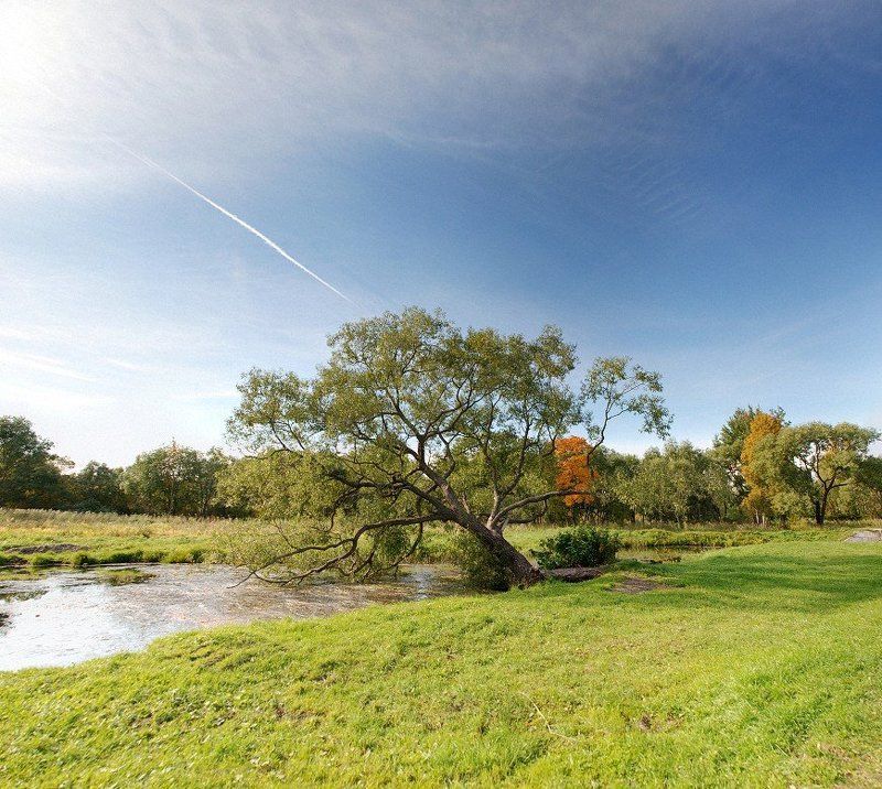 Осень в паркеphoto preview