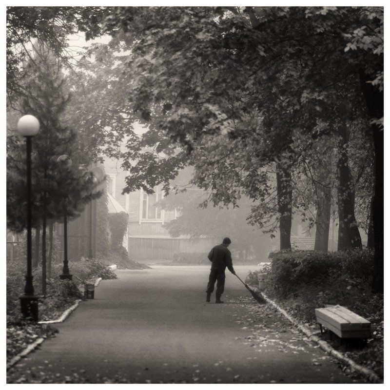 дворник фото превью