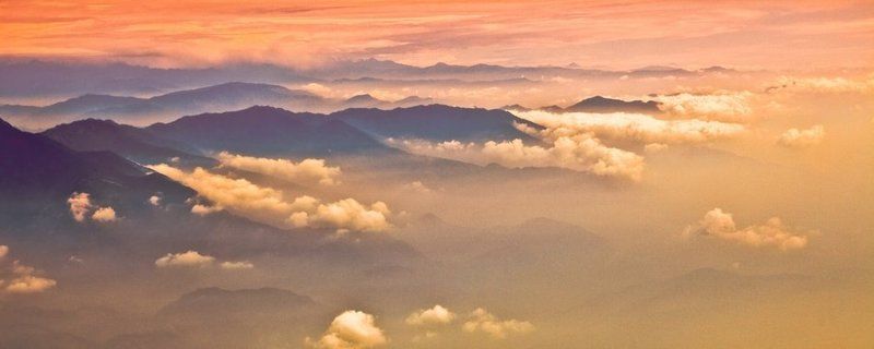 персиковые гималаиphoto preview