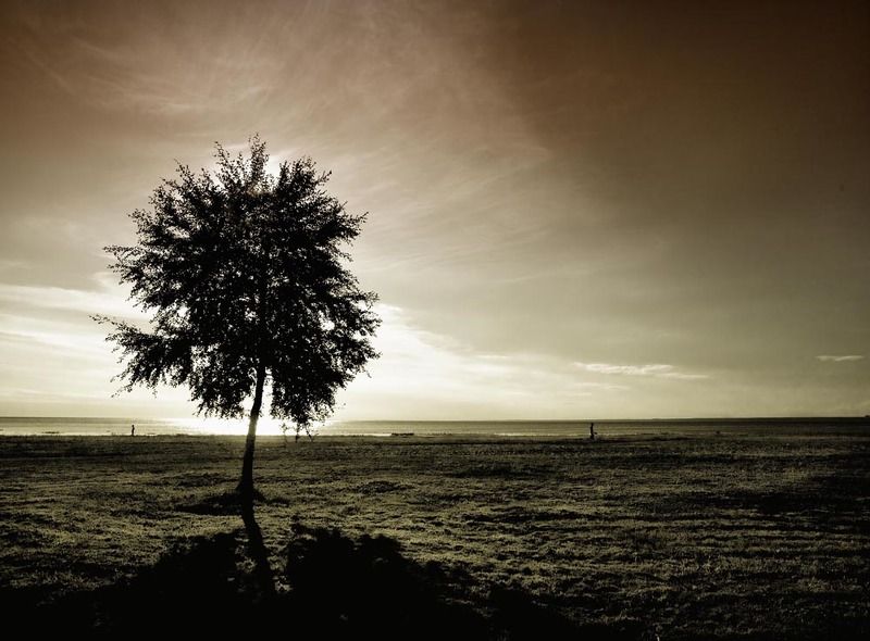 Сестрорецкphoto preview