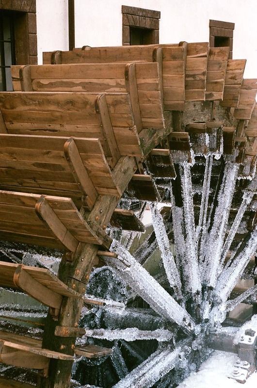 Icy woodphoto preview