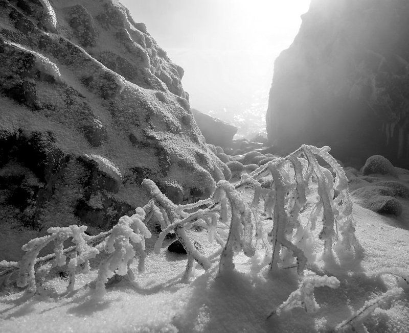 на берегу м. Фиолентphoto preview