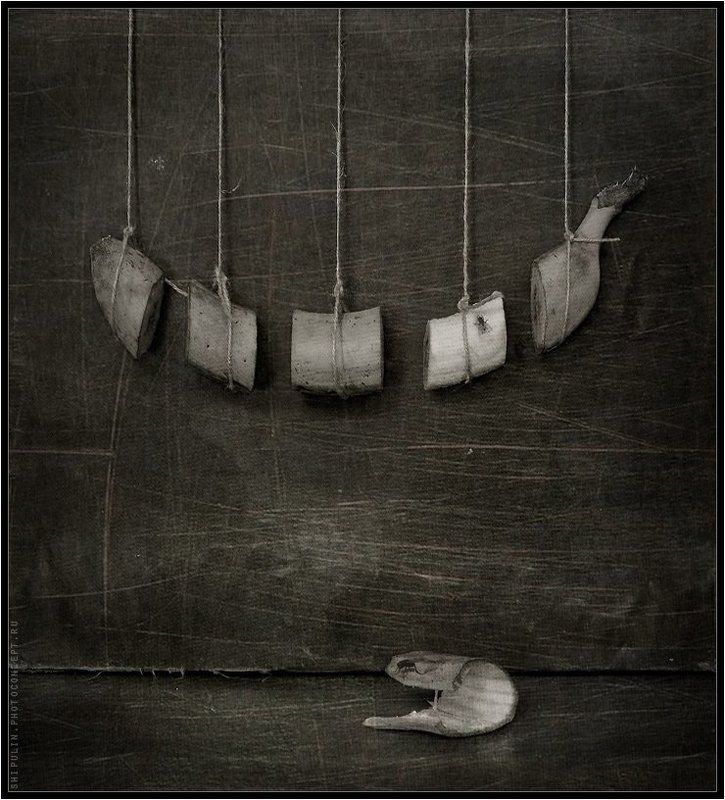 банан,бананы,питание,мухи,муха,владимир,шипулин,фотограф,томск Пятиразовое питаниеphoto preview