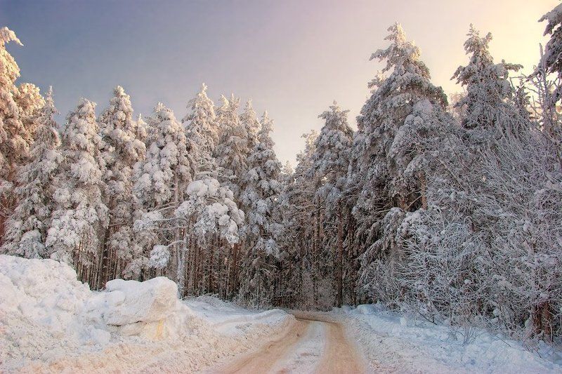 россия, всеволожск, лес, зима, мороз, закат, дорога, дерево, снег, сугроб, ель, сосна, дерево, небо, dyadyavasya По пути в  зимнее чудоphoto preview