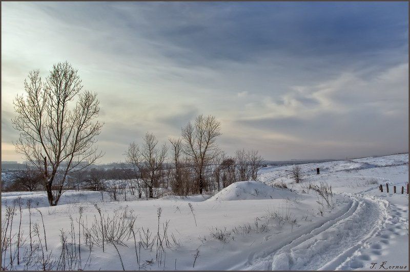 зима,днепр,о.хортица,вечер,дорога Скромное обаяние нашей зимыphoto preview