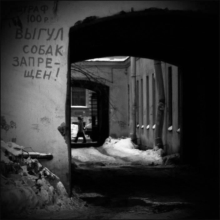 ... глазами кошки. Автор: Kirill Shapovalov петербург, центр, чб, Kirill Shapovalov