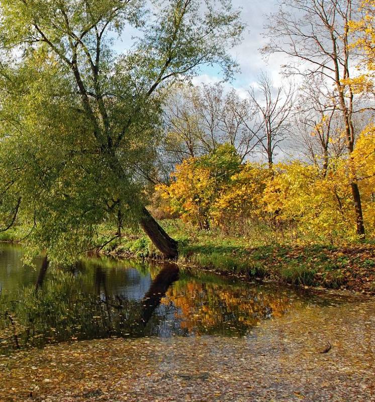 Золото осениphoto preview