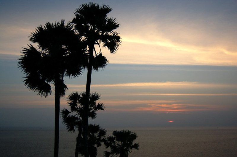 thai, phuket, sea, море, деревья, силуэты андаманское мореphoto preview