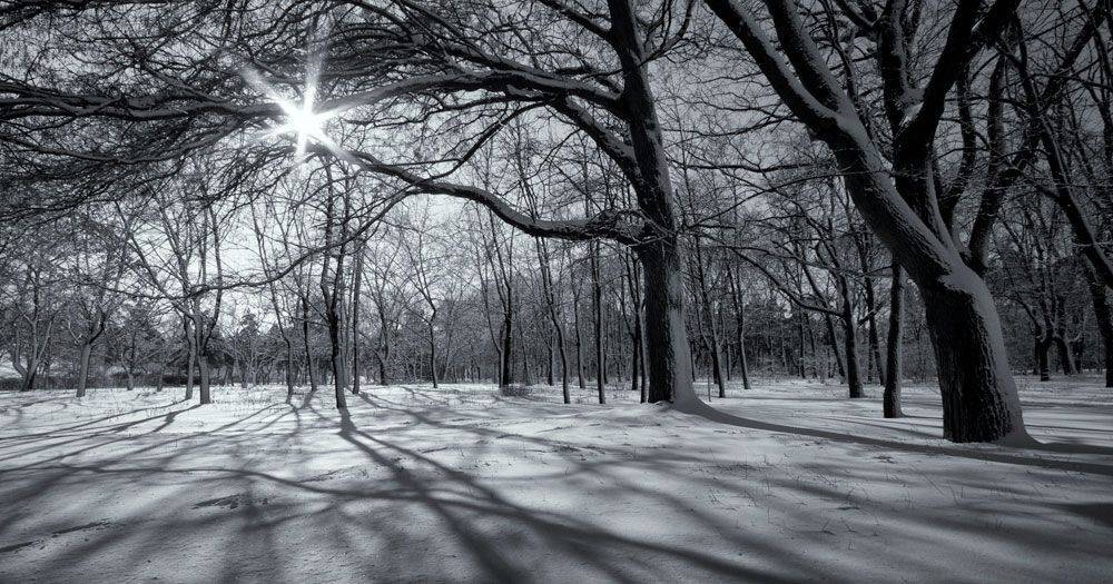 ***. Автор: Sergey Dimchenko , Sergey Dimchenko