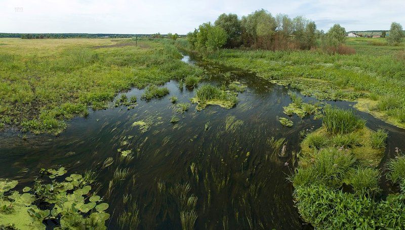 Циркуновские просторы. панорама рекиphoto preview