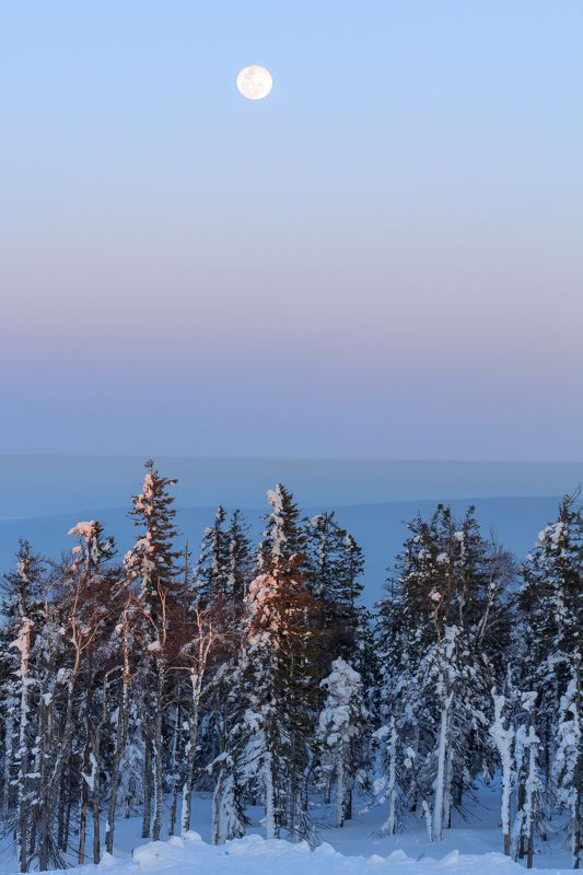 гора белая, пейзаж, закат, восход, луна, урал, россия, природа, снег, зима Гора Белая photo preview