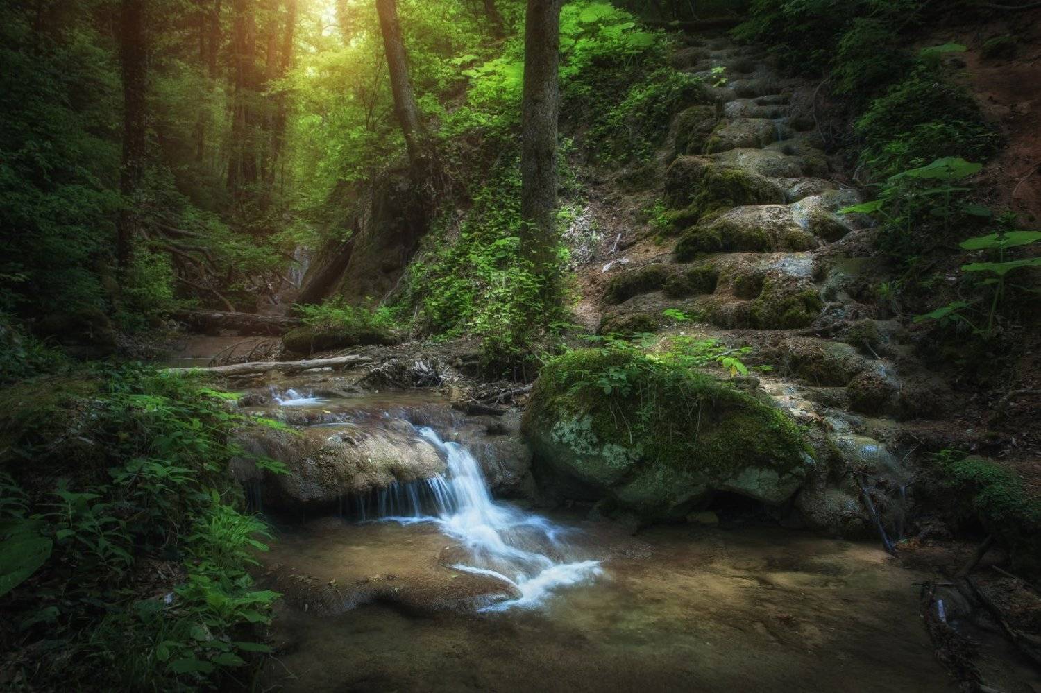 К светлым просторам сквозь дебри дремучие... Автор: Михаил Зимин , Михаил Зимин