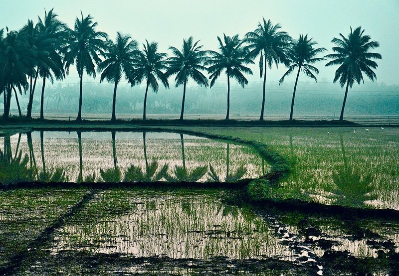 Raaj Kiran, India