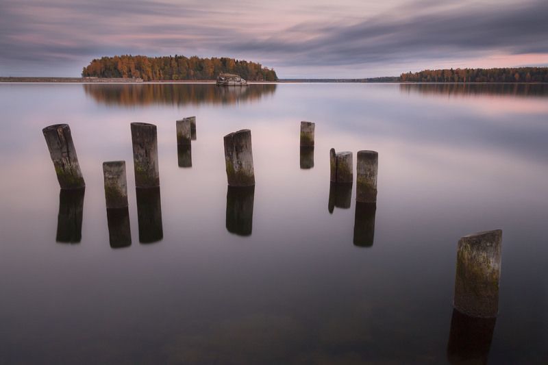 Dima, Estonia
