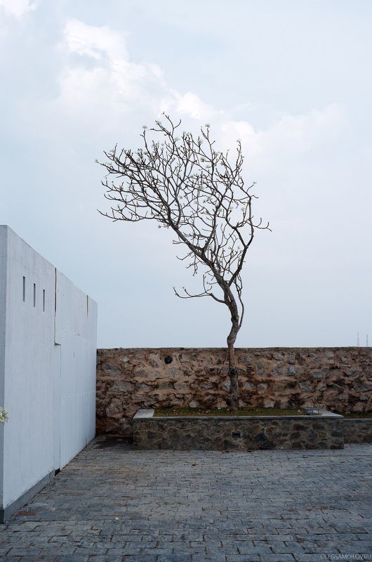 ШриЛанка, путешествия,  одиночествоphoto preview