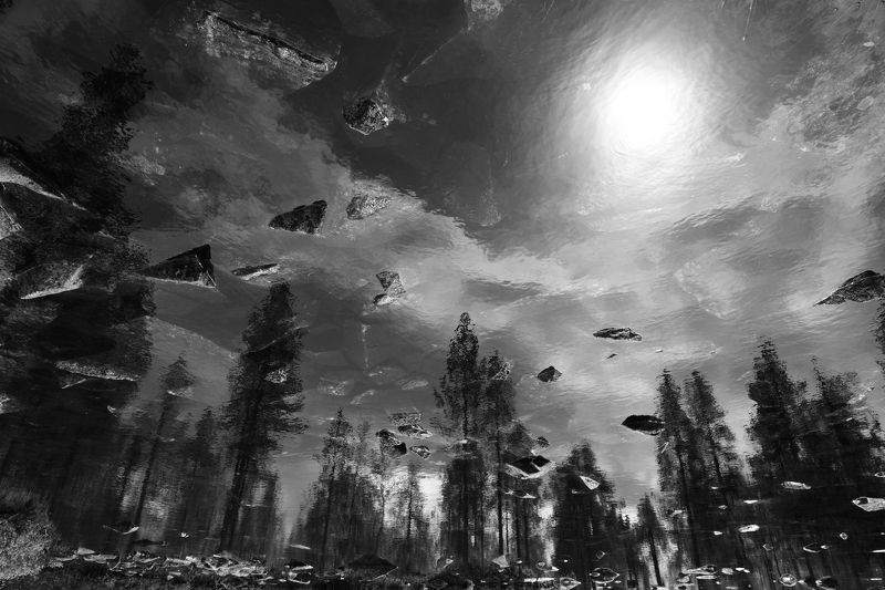 Камни, сосны, облакаphoto preview