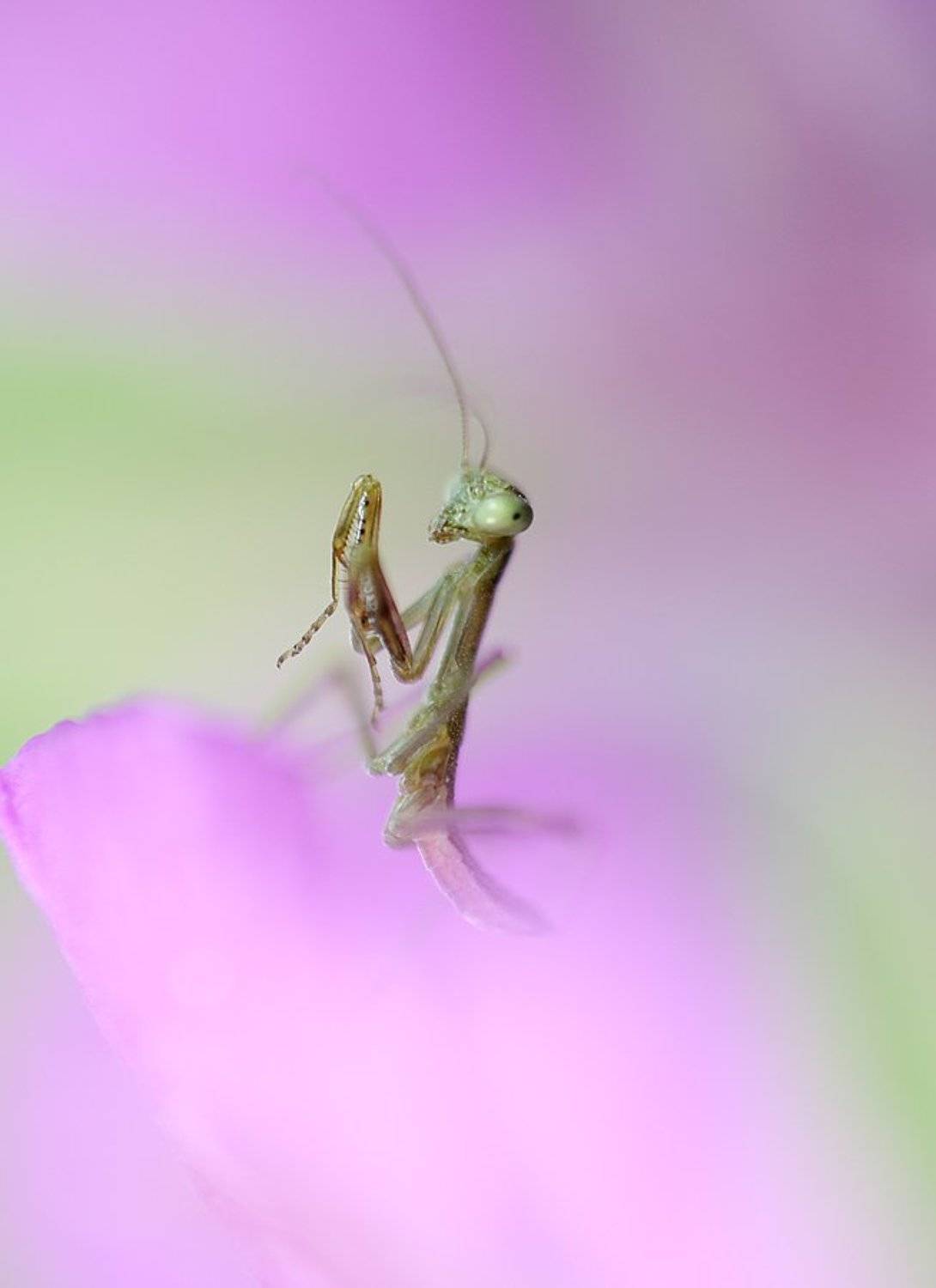 , Сергей Таланов