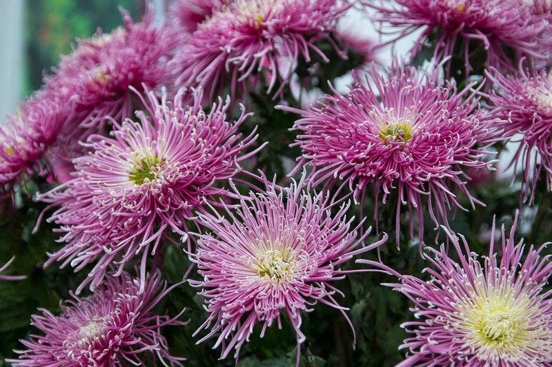 Скоро веснаphoto preview