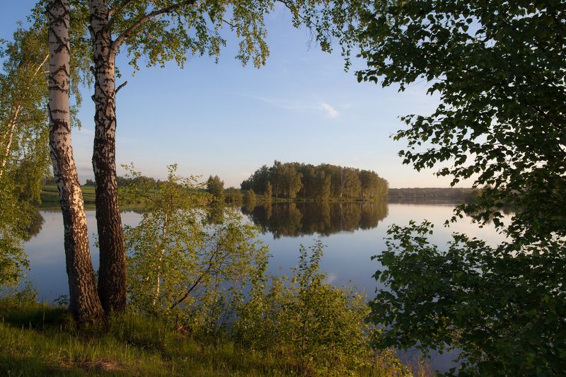 Вода, Лето, Пейзаж, Природа, Тишина Зелёный занавесphoto preview