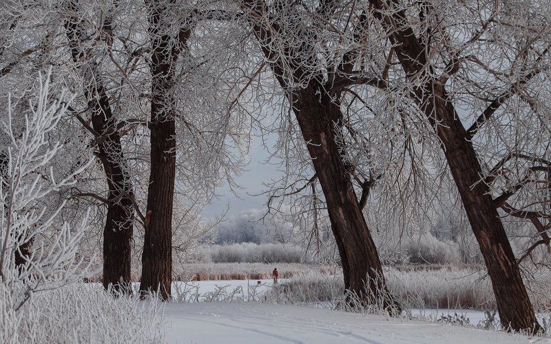 Зимним утромphoto preview