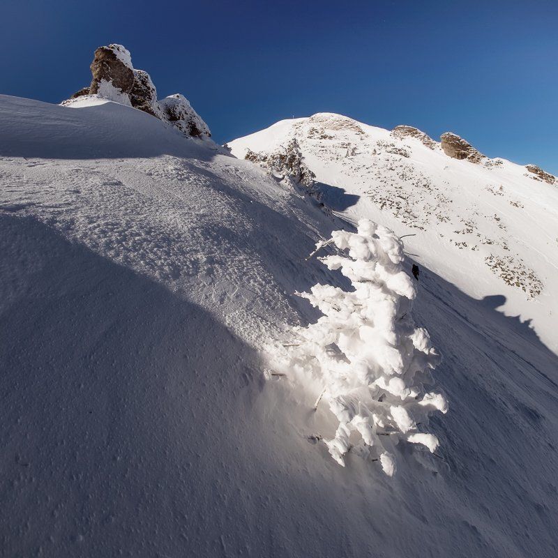 To the summitphoto preview