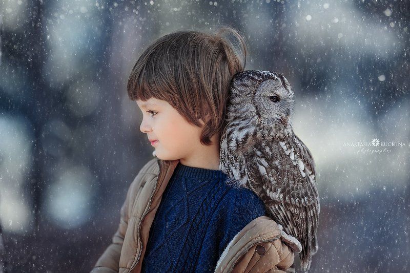 Мальчик, сова, осень, вместе Совёнокphoto preview