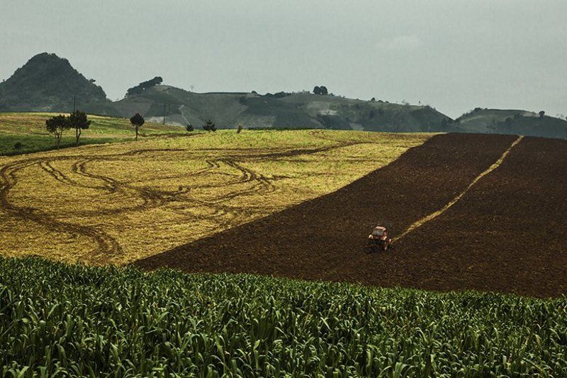 Drawingphoto preview