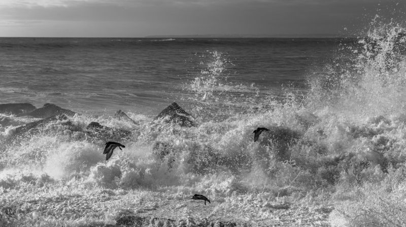 Монохромные зарисовки из путешествийphoto preview