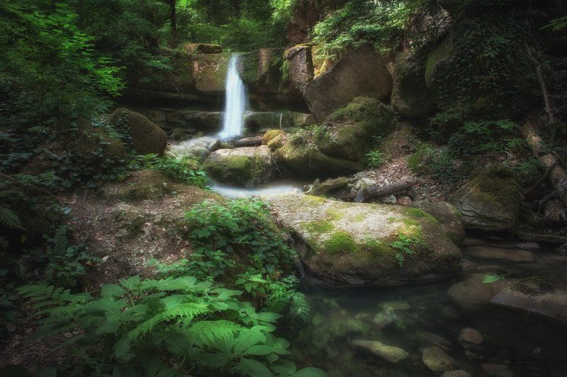 Где мягкий шепот с тишиной..photo preview