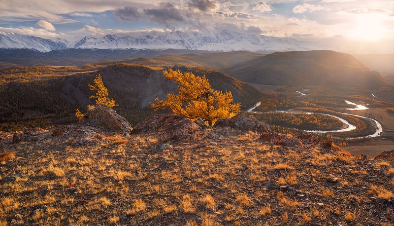 ...в лучах осенних... или икебана №3photo preview