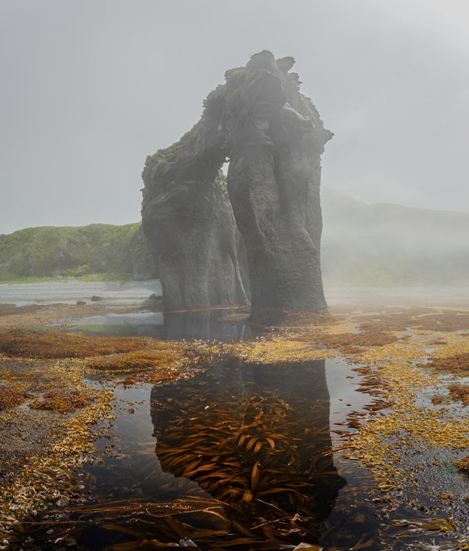 В гостях у исполинаphoto preview