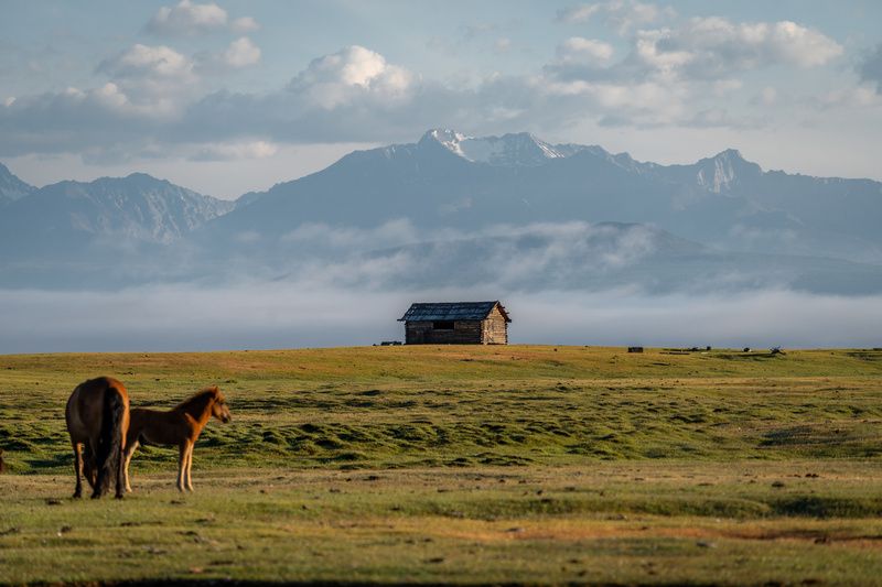монголия, рассвет, горы, лошади, дом, mongolia, sunrise, mountains, horses, house photo preview