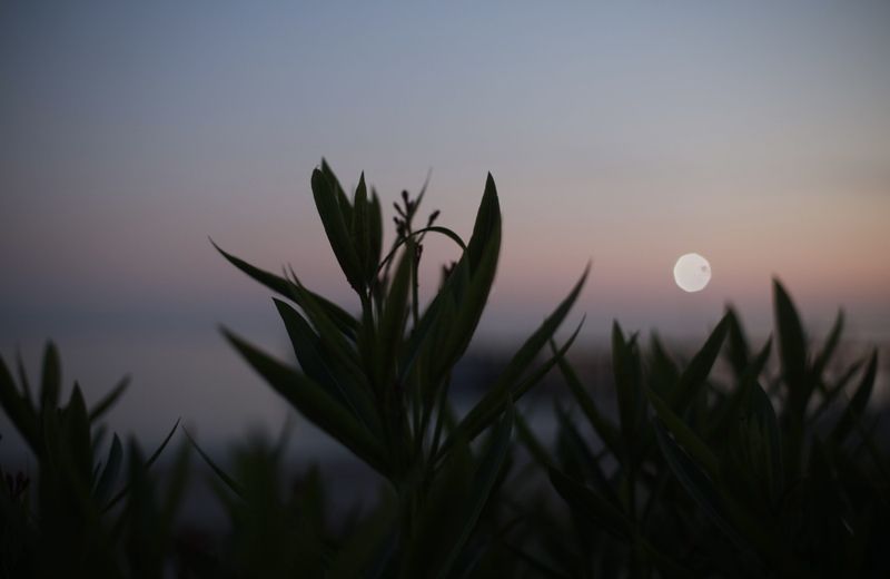 море, закат, солнце, природа, лето Закатphoto preview