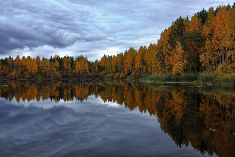 осень Зима, кусающая хвост осениphoto preview