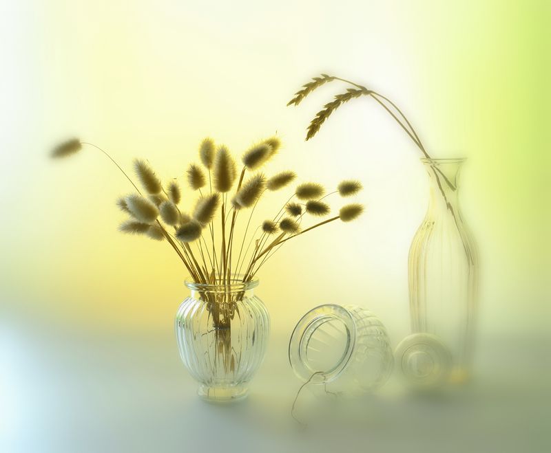 натюрморт,композиция,свет,лето,букет ***photo preview