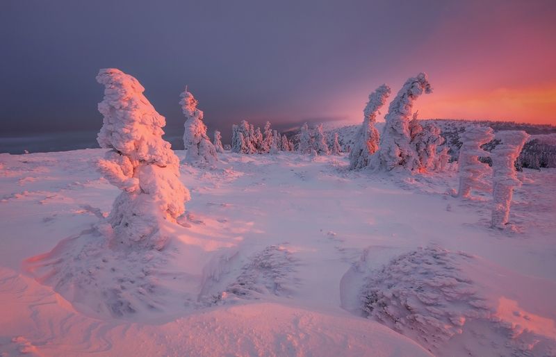 landscape, winter, color, red Rudé ráno v Jeseníkáchphoto preview