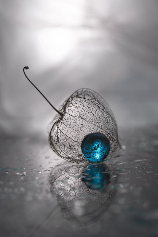 макро, macro photo preview