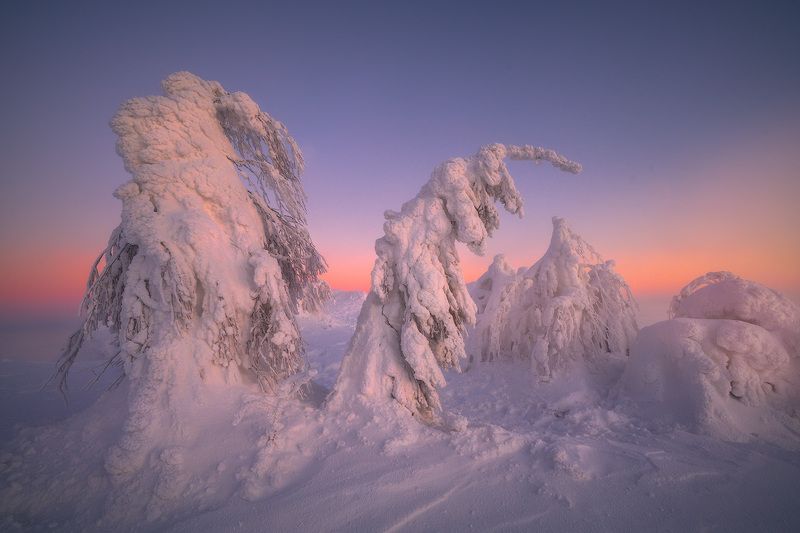 северныйурал, урал, полюд, пермскийкрай Северный Уралphoto preview