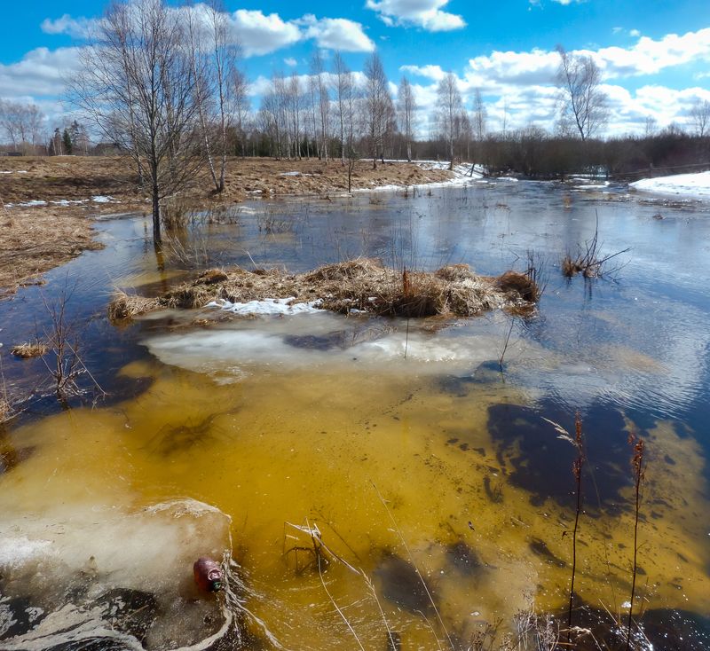 весна, ранняя весна, ручей, половодье, снег тает, Смоленская область,  вешние воды фото превью