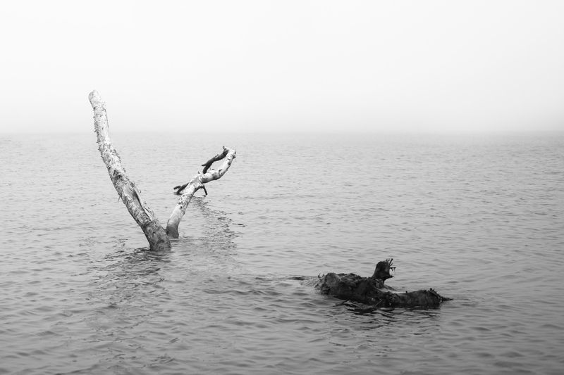 Штильphoto preview