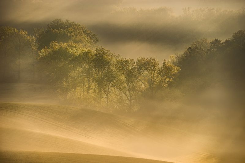 moravia, czech, fog Moravian morningphoto preview