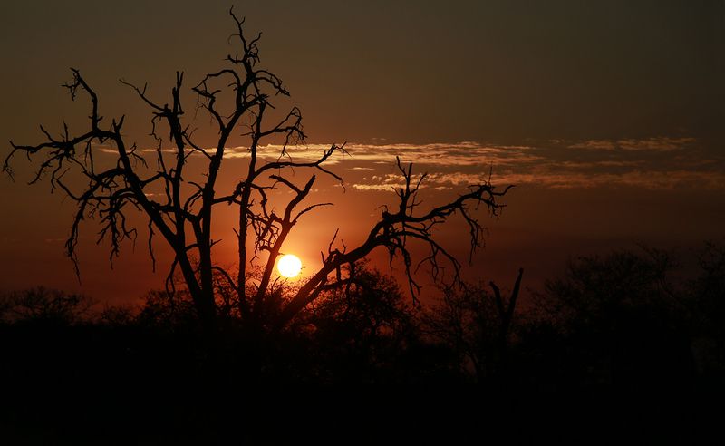 Torrid sunsetphoto preview