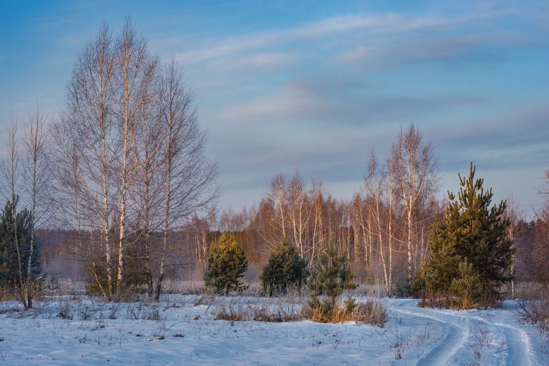 утро февраль пейзаж воронино Солнышко встаёт.photo preview