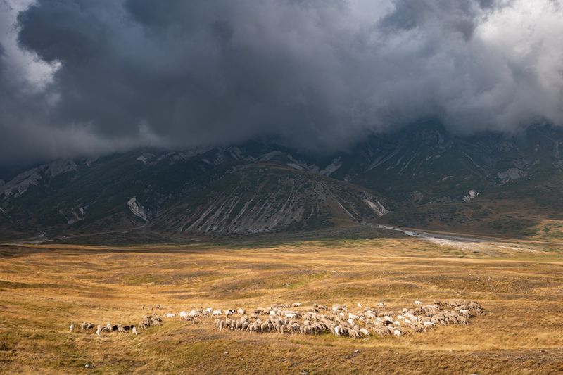 В горах Gran Sassophoto preview