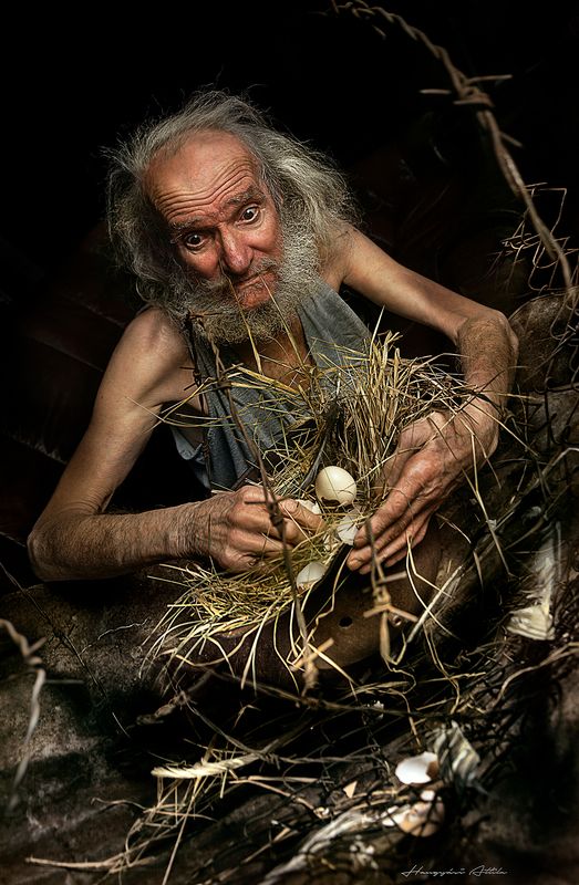 Destroyed nest II.photo preview