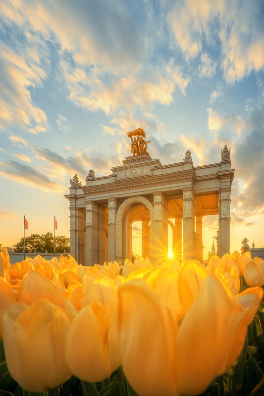 вднх, закат, весна, москва, moscow, spring, sunset, vdnh, тюльпаны Тюльпаны на ВДНХphoto preview