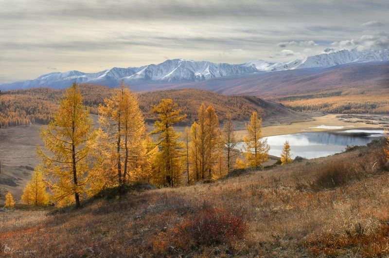 Осенний Алтайphoto preview